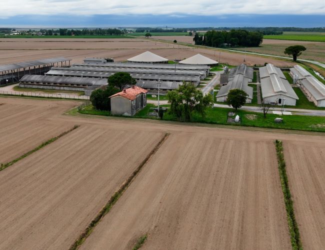 Fiume Tagliamento - Friuli - Terra