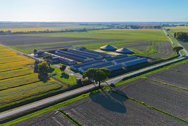 Primo piano Loris Pantarotto