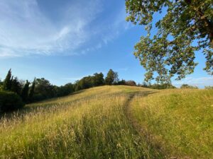 Biodiversità Friuli