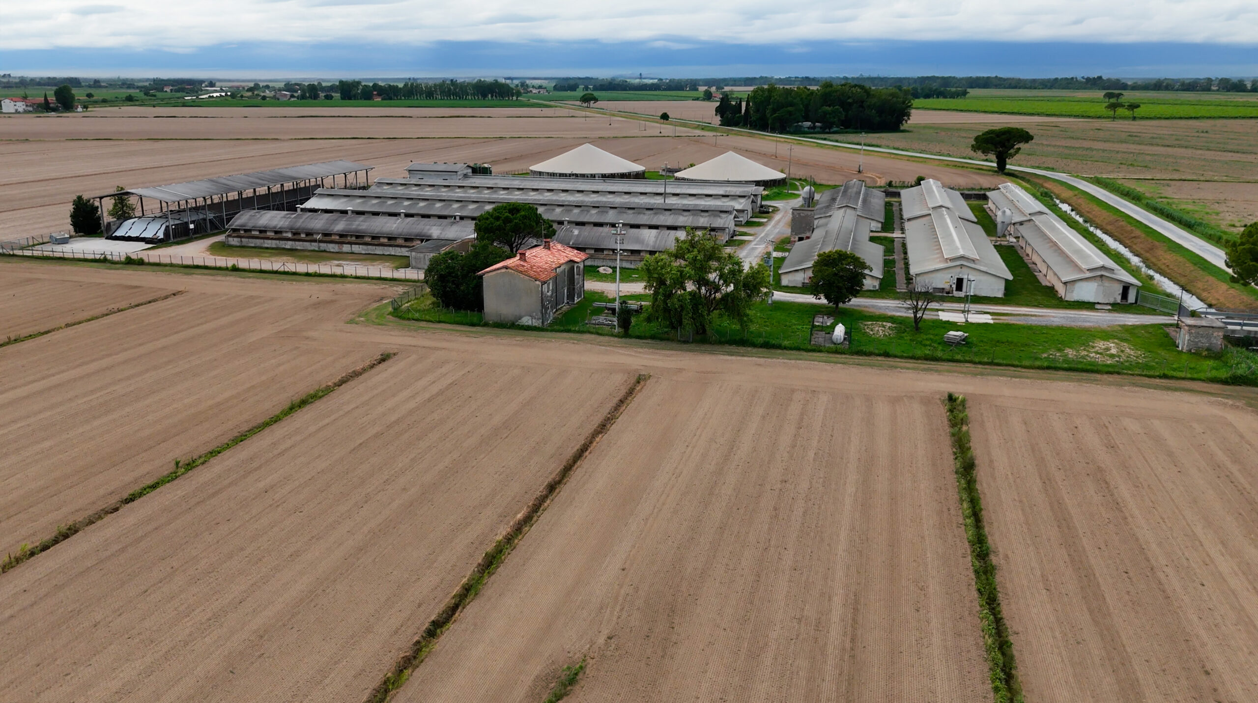 Fiume Tagliamento - Friuli - Terra