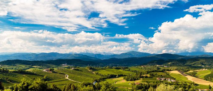 Paesaggio Friuli Venezia Giulia - Salumificio Loris Pantarotto
